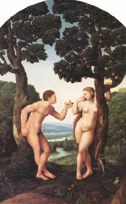Jan van Scorel adam and Eve (nn03) oil painting image